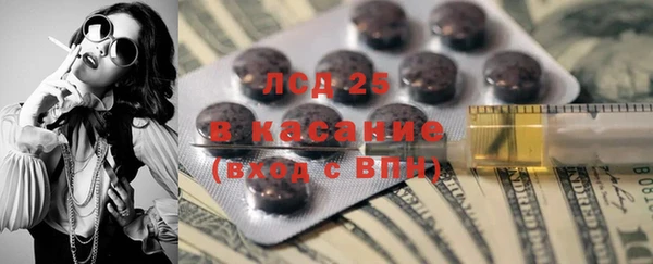 шишки Беломорск