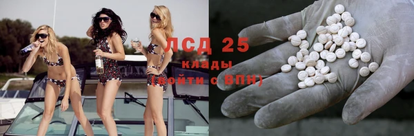 ПСИЛОЦИБИНОВЫЕ ГРИБЫ Белоозёрский