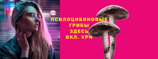 прущий лед Бородино
