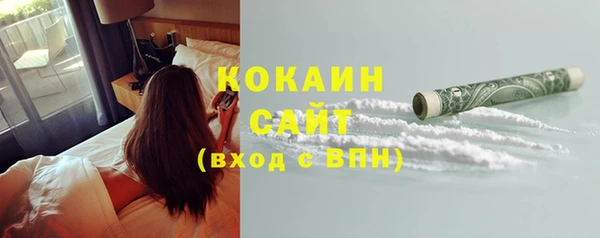 шишки Беломорск