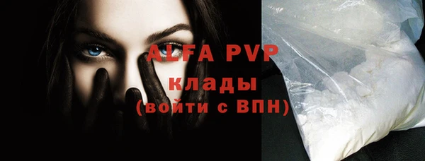 шишки Беломорск