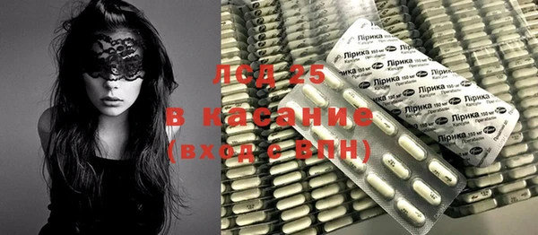 ПСИЛОЦИБИНОВЫЕ ГРИБЫ Белоозёрский