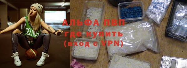 шишки Беломорск
