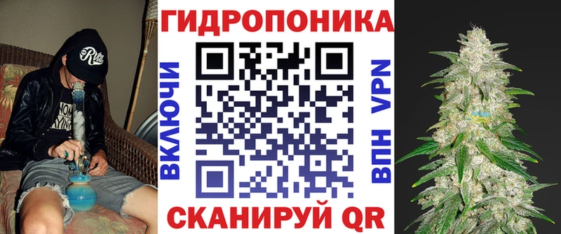 shop какой сайт  наркошоп  Вичуга  Каннабис THC 21% 